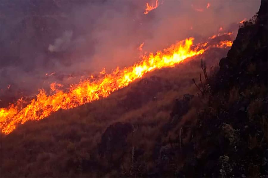 Pallasca Incendio Forestal Arrasa Con Hect Reas De Pastizales En Llapo