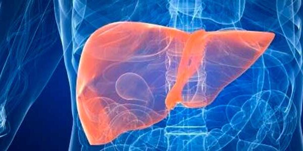 Hígado graso: descubre las frutas ideales para combatirlo