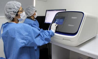 analizador Genético