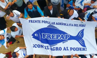 Elecciones 2020: conteo rápido al 100% lideran Acción Popular, Frepap y Podemos Perú