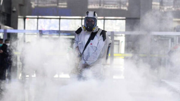 La hora del homo sapiens