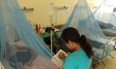Dengue: Minsa confirma 11 casos en el Cono Norte de Lima