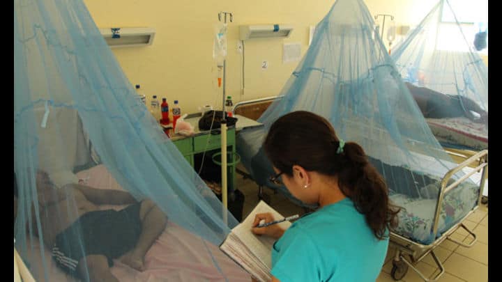 Dengue: Minsa confirma 11 casos en el Cono Norte de Lima