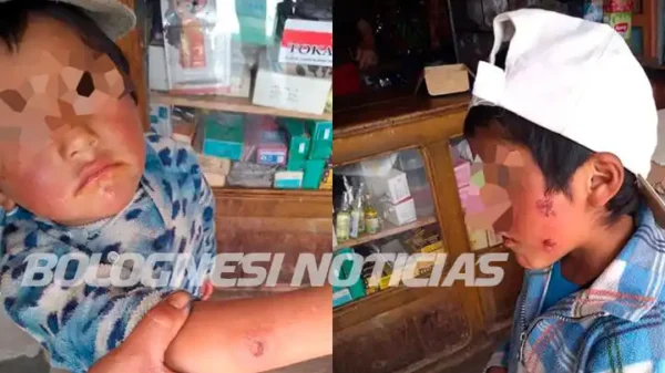 «Uta» ataca en Tauca y causa alarma en Pallasca, Áncash