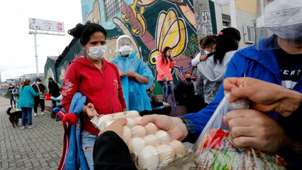 Minagri recomienda evitar el ingreso de niños, gestantes y adultos mayores a los mercados