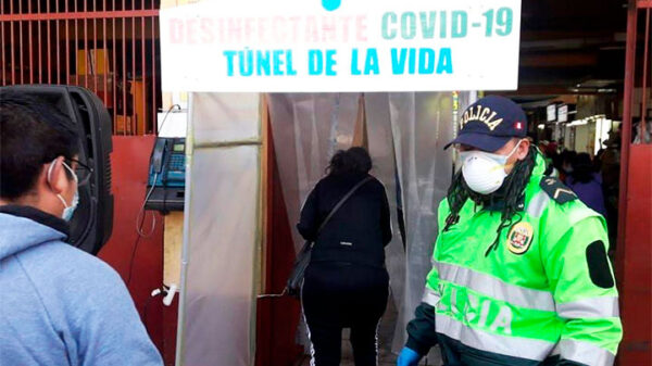 Contraloría alerta que túneles desinfectantes podrían generar riesgo en la salud