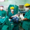 Trillizos en Chimbote nacen sanos en el Hospital III de EsSalud junto a equipo médico