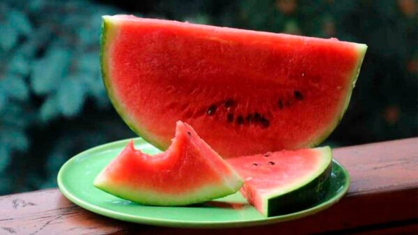 Sandía: un superalimento veraniego con múltiples beneficios