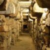 Redescubren galería subterránea milenaria en Chavín de Huántar