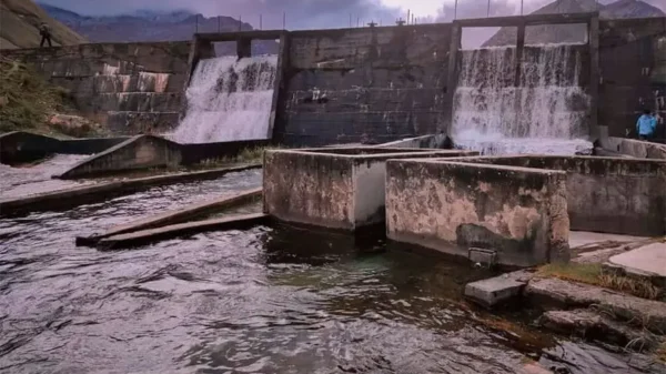 Laguna Pelagatos en peligro