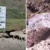 Autoridades de la DREM Áncash inspeccionan las operaciones de Glore Perú cerca de la laguna Pelagatos, en el distrito de Pampas, Pallasca.