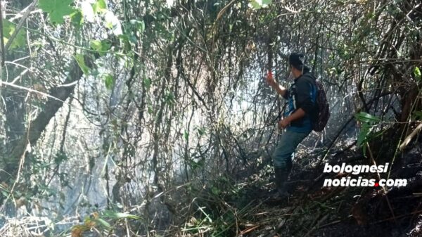 Incendio forestal se controló en Pampas, Pallasca