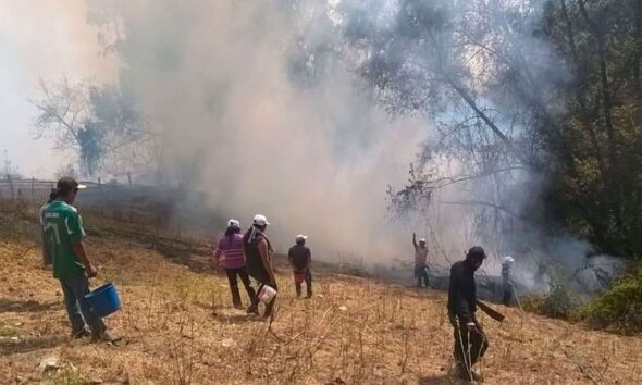 Pallasca: incendio forestal en Bolognesi arrasa 10 hectáreas