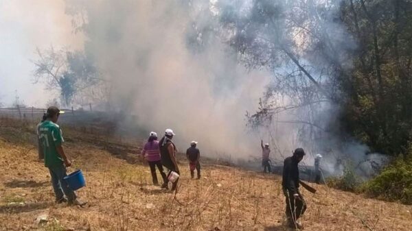 Pallasca: incendio forestal en Bolognesi arrasa 10 hectáreas
