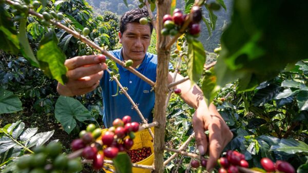 Cooperación Estados Unidos y Perú más sólida