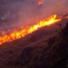Incendio forestal en Llapo, Pallasca