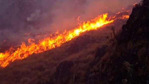 Incendio forestal en Llapo, Pallasca