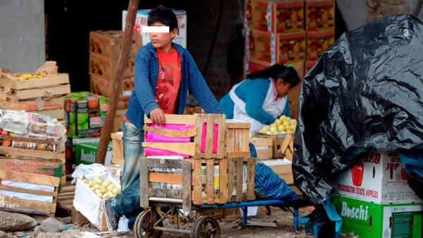 En estos tiempos tienen ventajas los escolares que estudian y trabajan
