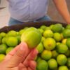 Recomiendan no reemplazar el limón con ácido cítrico