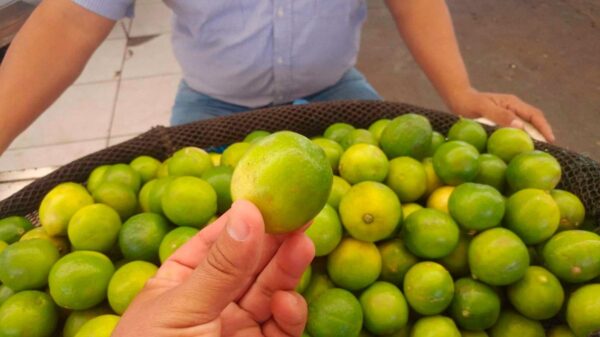 Recomiendan no reemplazar el limón con ácido cítrico
