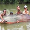 Recuerdan veda del paiche en la Selva peruana.