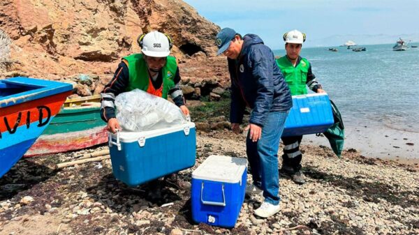 Monitorean bahía de Huarmey por contaminación.