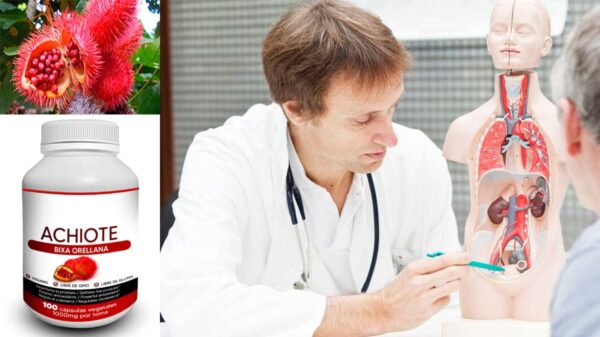 Achiote: aliado natural para desinflamar la próstata y vías urinarias