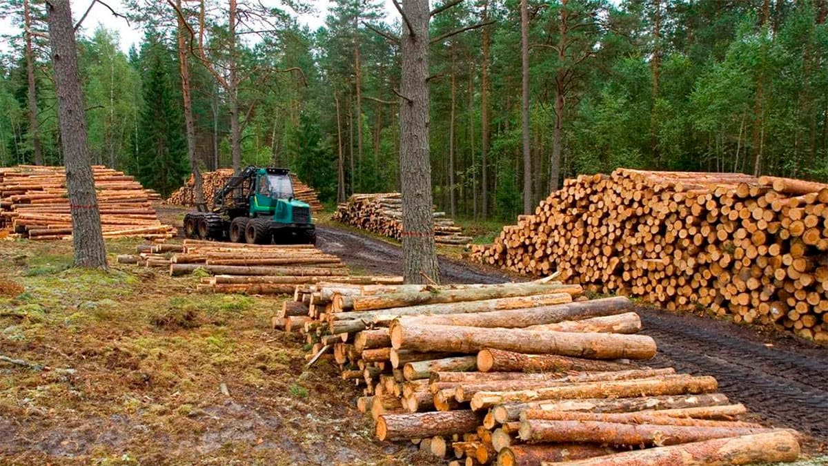 Deforestación ilegal con ley promulgada por el Congreso.