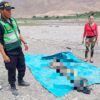 Cadáver en descomposición encuentran en el río Santa.