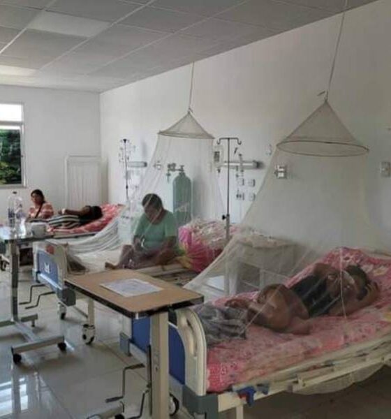 Falta personal y reactivos para atender pacientes por dengue en Casma