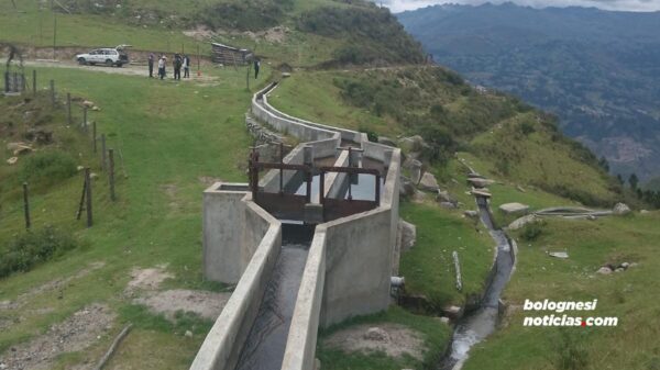 Mueren 2 mil truchas de la Comunidad Campesina de Pallasca.