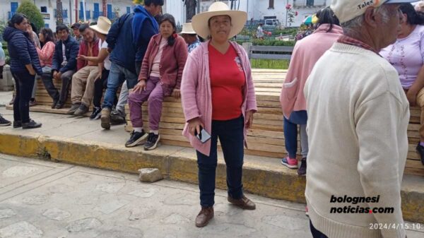 Comunidad Campesina de Pallasca denuncia tala ilegal de bosque.