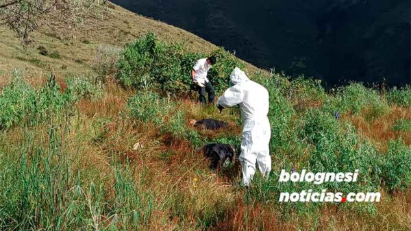 Pallasca: dos hombres hallados sin vida tras disputa minera.