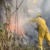 Incendios forestales en Áncash: causas, impactos y soluciones