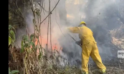 Incendios forestales en Áncash: causas, impactos y soluciones