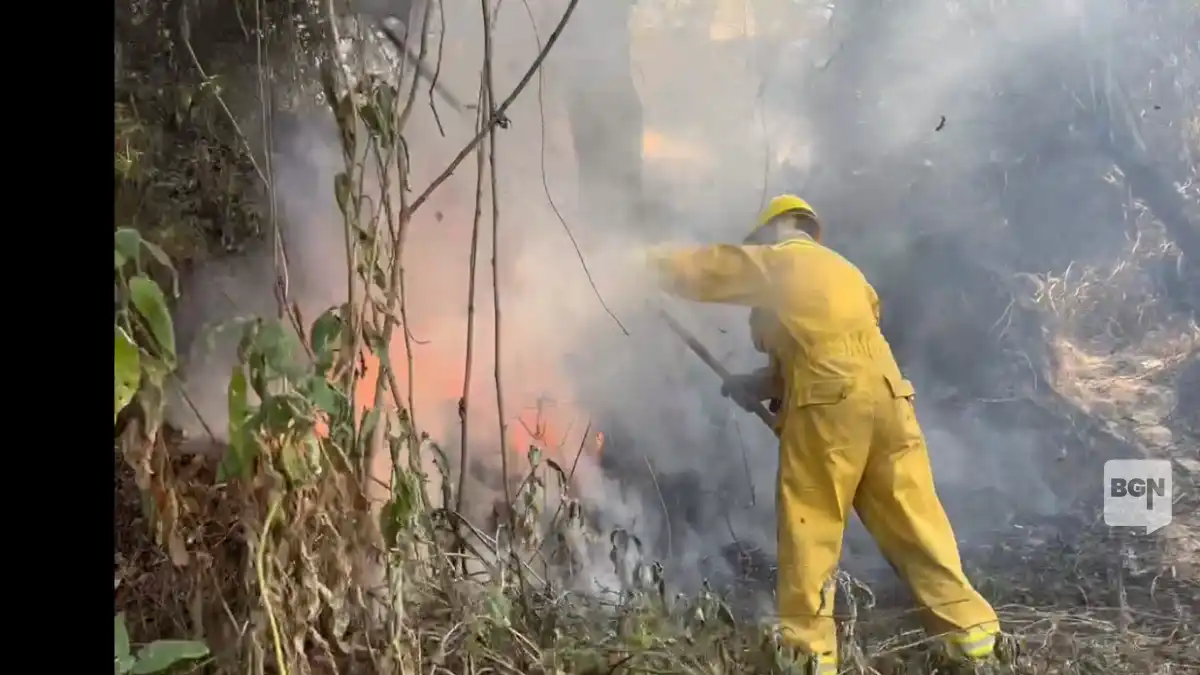 Incendios forestales en Áncash: causas, impactos y soluciones