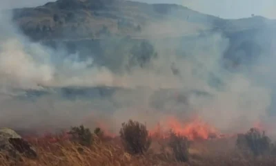 Pallasca: incendio en Lacabamba devasta 150 ha y mata ganado