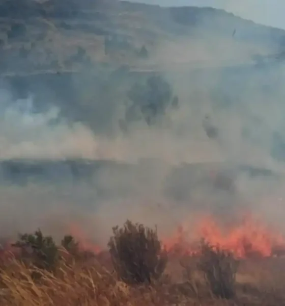 Pallasca: incendio en Lacabamba devasta 150 ha y mata ganado