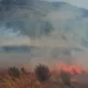 Pallasca: incendio en Lacabamba devasta 150 ha y mata ganado