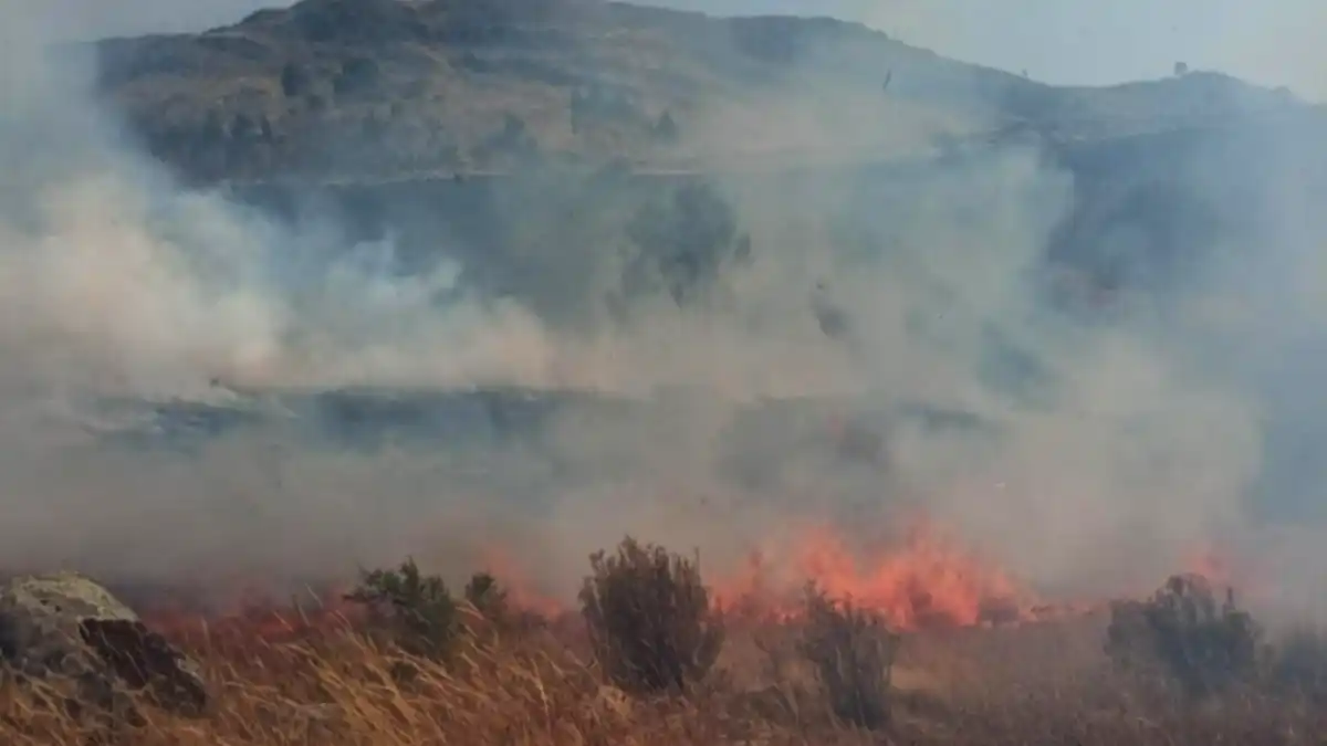 Pallasca: incendio en Lacabamba devasta 150 ha y mata ganado