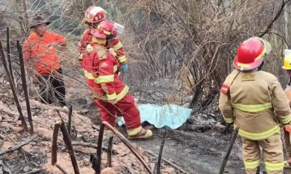 Incendios forestales en Áncash deja cuatro muertos en el 2024