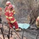 Incendios forestales en Áncash deja cuatro muertos en el 2024