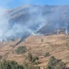 Pallasca: voluntario fallece en incendio forestal en Pampas