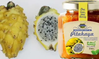 Pitahaya: propiedades, beneficios y potencial industrial en Perú