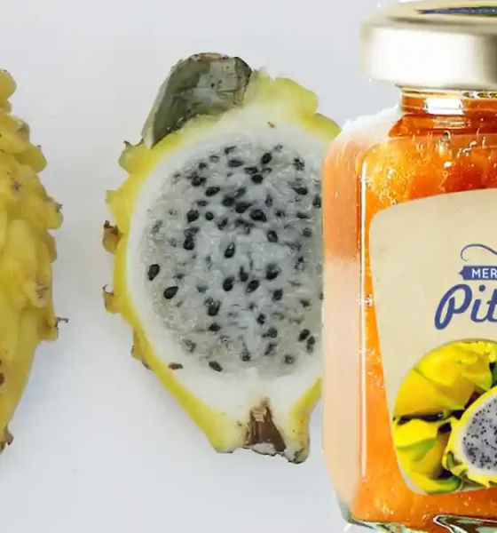 Pitahaya: propiedades, beneficios y potencial industrial en Perú