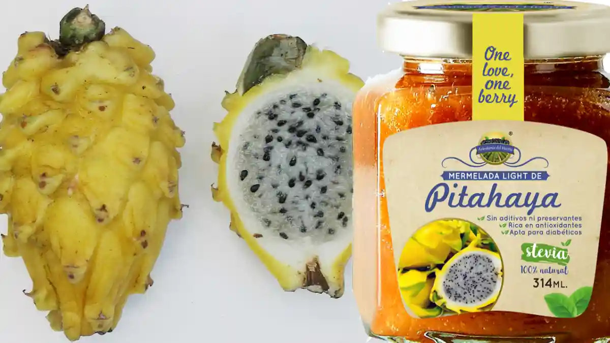 Pitahaya: propiedades, beneficios y potencial industrial en Perú