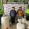 Policía captura a dos con 300 kilos de hoja de coca en Pallasca