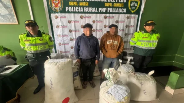 Policía captura a dos con 300 kilos de hoja de coca en Pallasca
