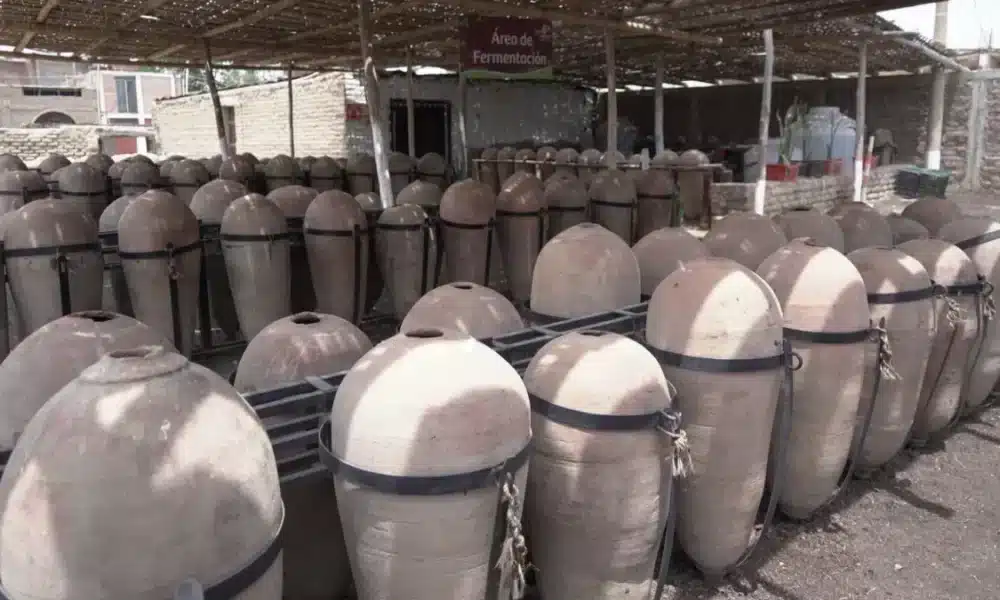 Técnica y producción del pisco declarado Patrimonio Cultural de la Nación