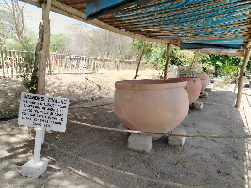 Tinajones de barro encontrados en restos arqueológicos de la cultura Sechín en Áncash